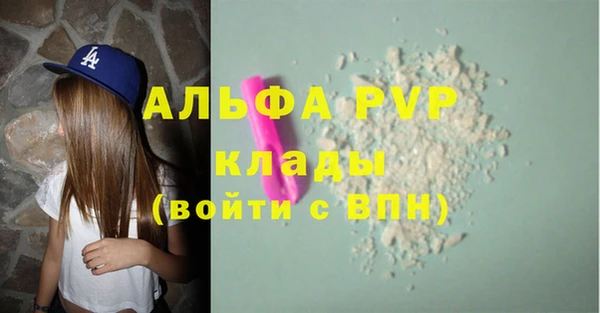 стаф Бородино