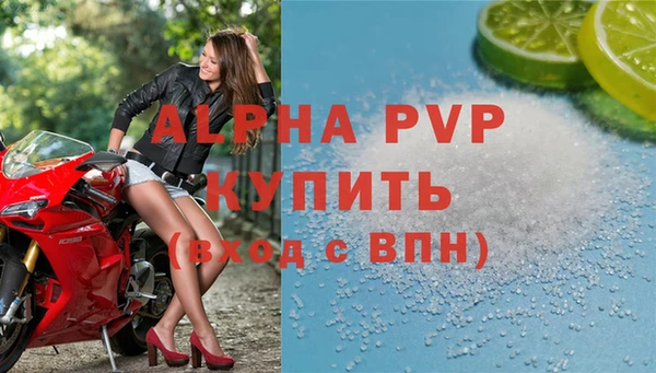 стаф Бородино